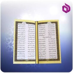 گلستان و بوستان سعدی پالتويی چرم با دو گلدان فیروزه 16